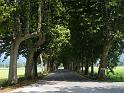 Piemont (397)